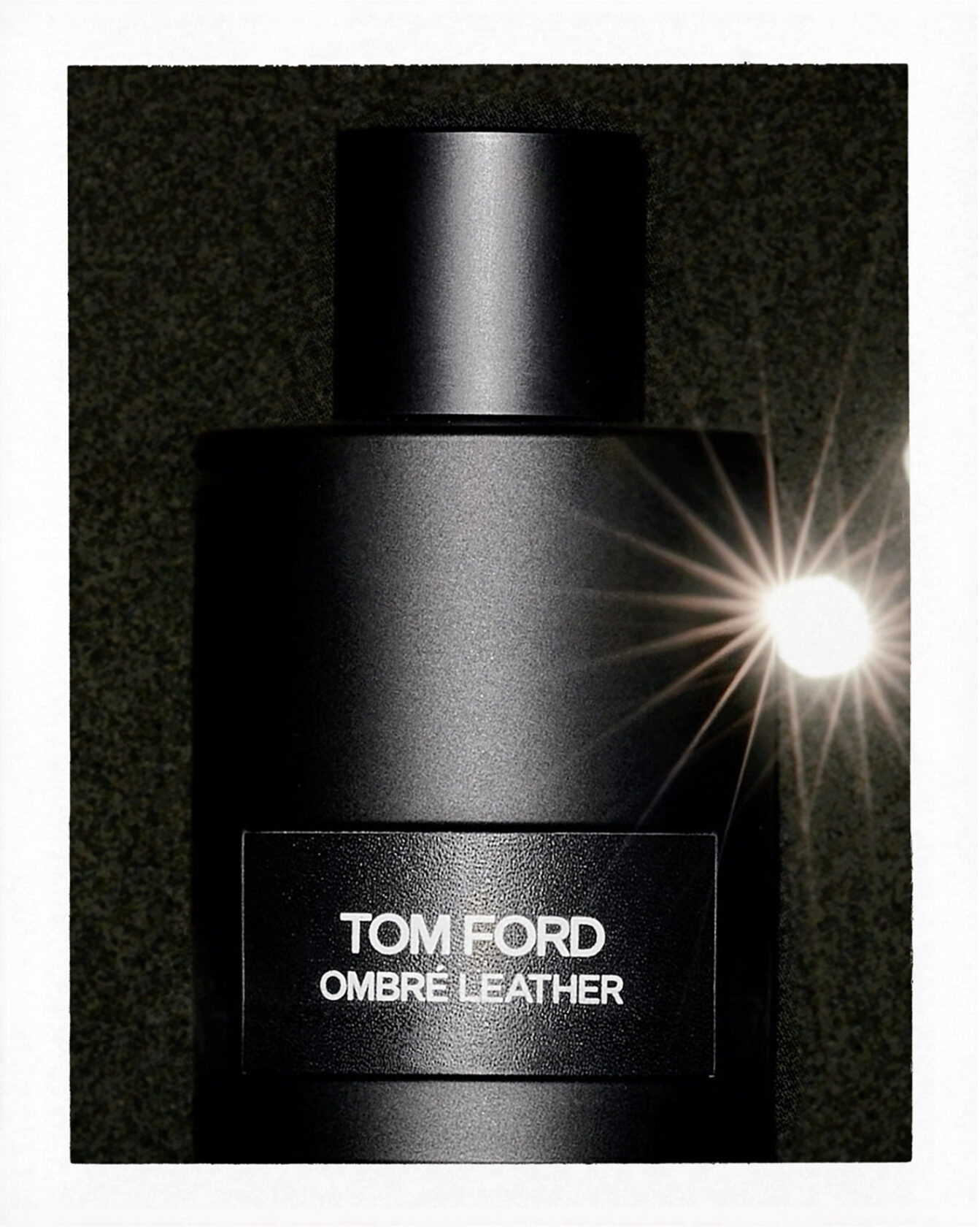 CAP74024 | My Pussy Is A Tiger